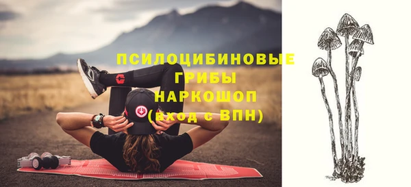 прущие крисы Верхний Тагил
