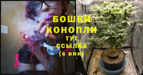 прущие крисы Верхний Тагил