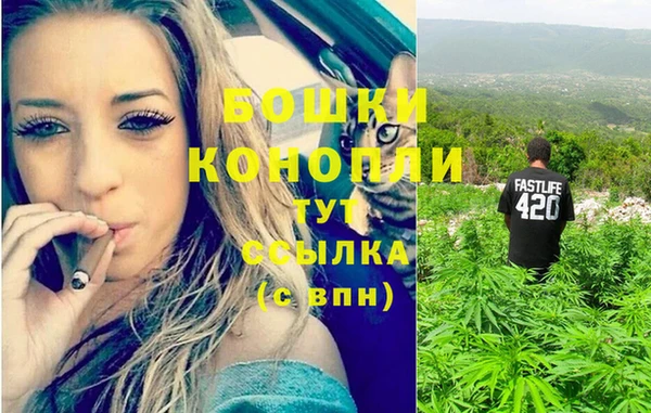 сатива Верхнеуральск