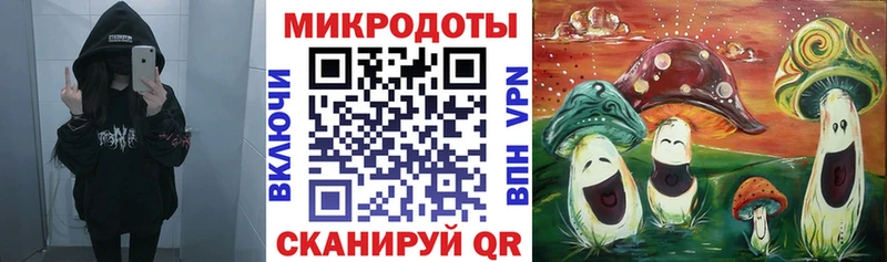 Псилоцибиновые грибы Cubensis  Новоржев 
